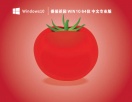 番茄花园 Win10 64位 中文专业版 V2023