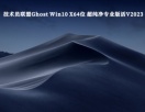技术员联盟Ghost Win10 X64位 超纯净专业版（自动激活）V2023